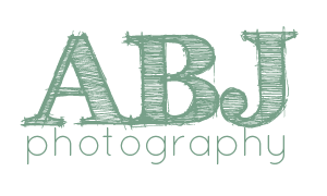 ABJ Photography Blog logo
